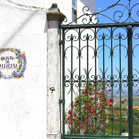 Quinta De Palhacana Alojamento de Turismo Rural