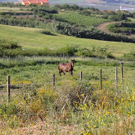 Quinta De Palhacana Alojamento de Turismo Rural *